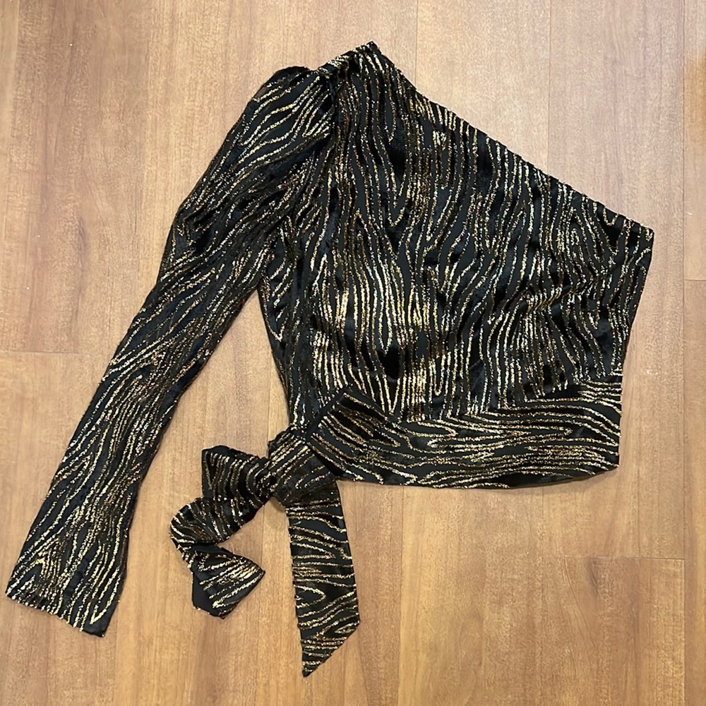 Never worn Rachel Zoe Parish One Sleeve Top